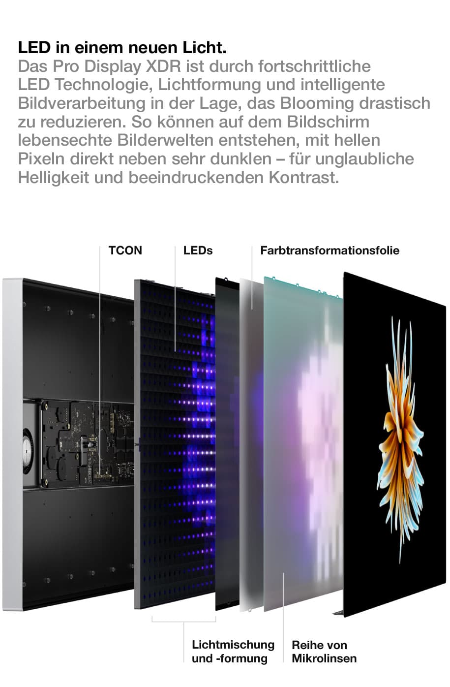 Zu den Apple Pro Display XDR