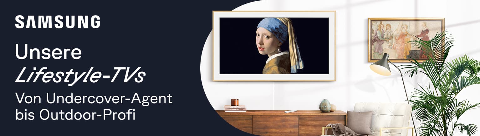 Zu The Frame & The Terrace von Samsung
